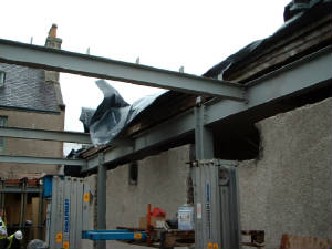 chardbrora1.jpg